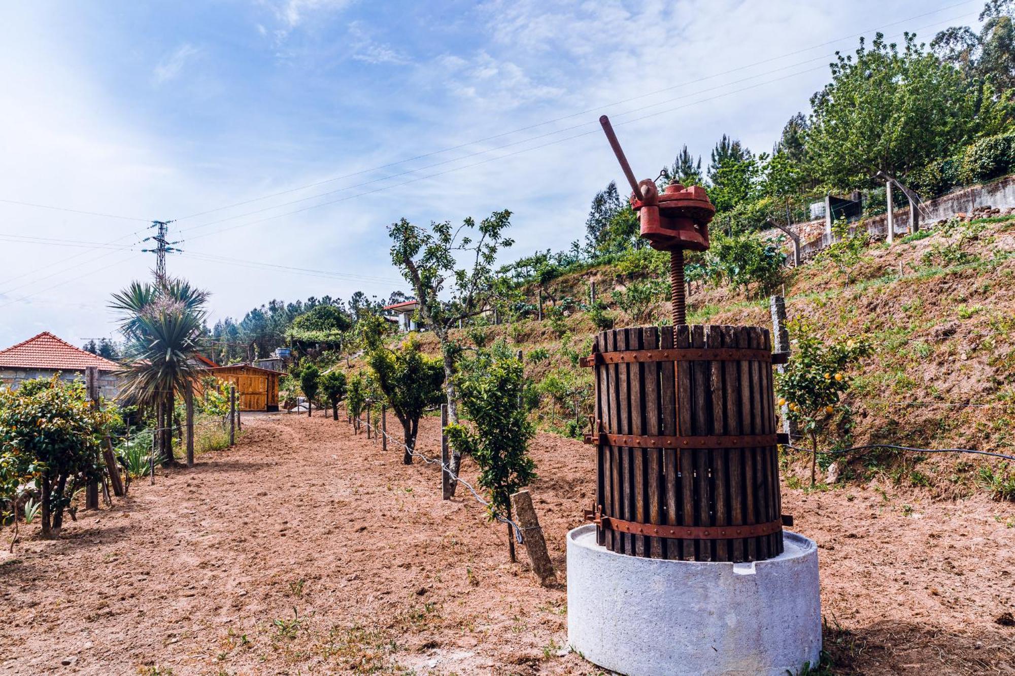 A Casa Dos Avos Vendégház Celorico De Basto Kültér fotó